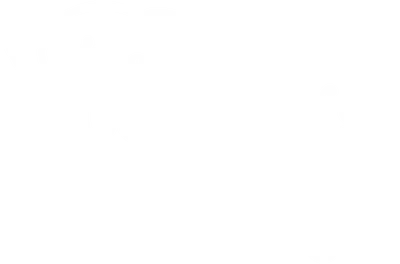 The Cool Dogs Vet